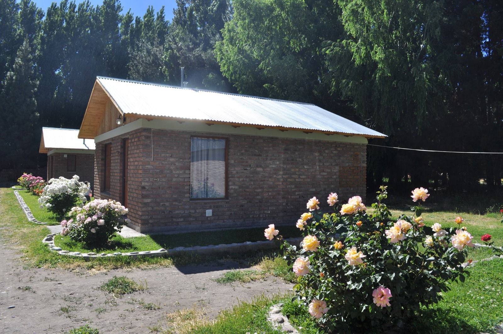A cabin among rose bushes